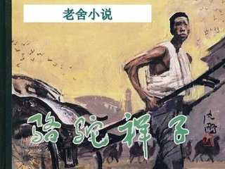 雏鸟官網